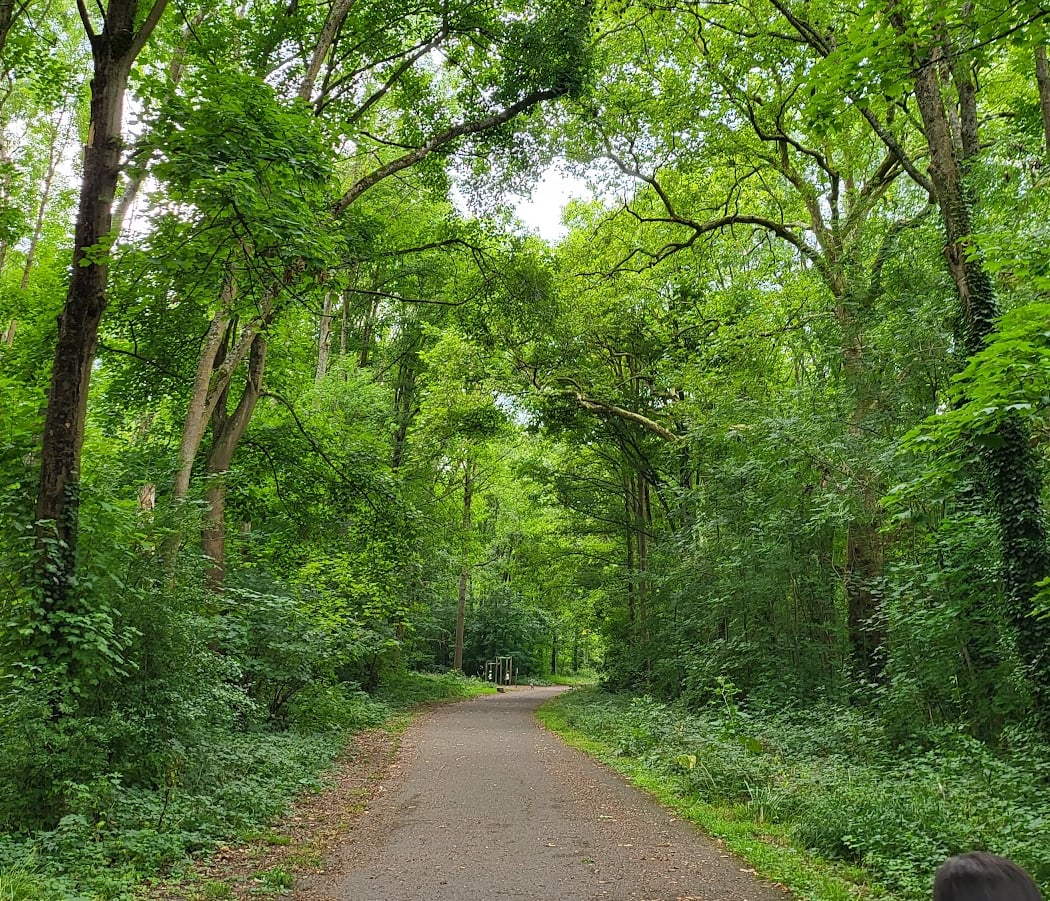 Parc Du Bois De L'Etang 2